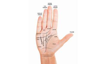 Palmistry Palm Hand Reading for Android - Download the APK from Habererciyes